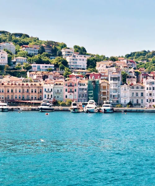 lelieu_contact_us_image02